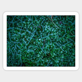 Frosty Grass Sticker